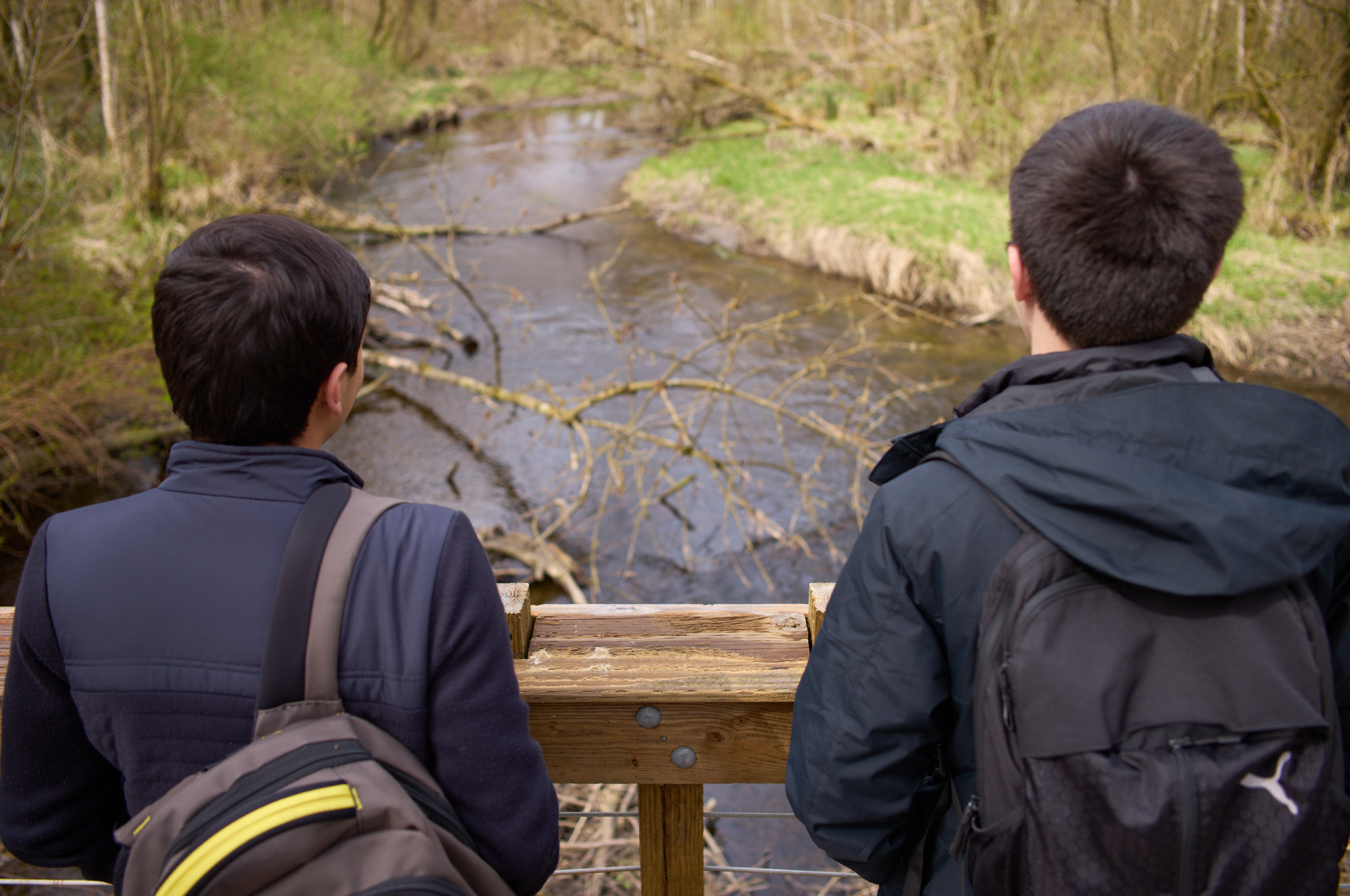 Students contemplating and looking out, reflecting on concepts of environmental education and sustainability.