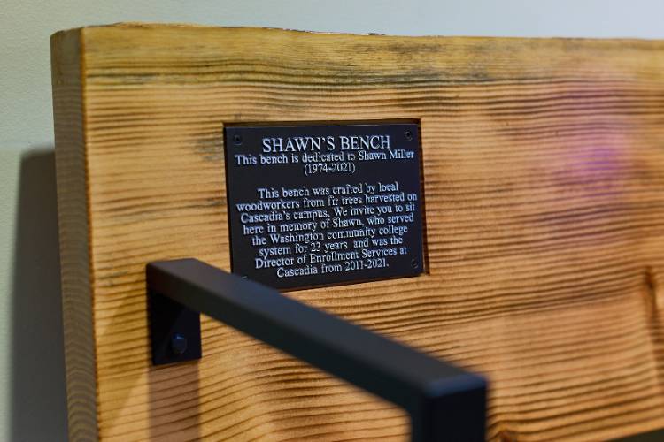 Shawn's Bench